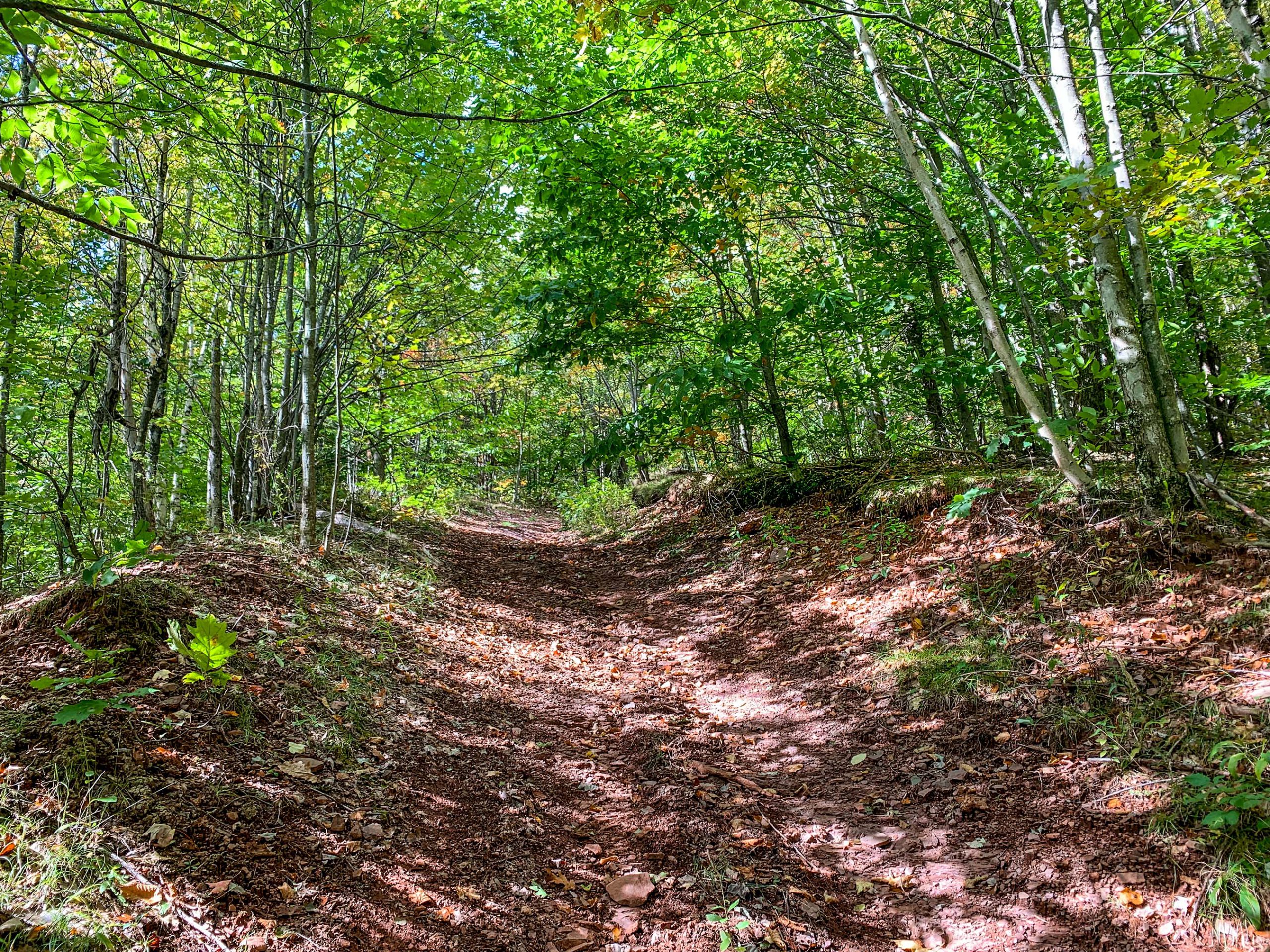 Lot-11b-24.70 acres