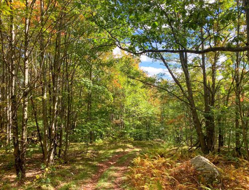 Lot-11b-24.70 acres