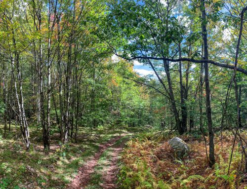 Lot-11b-24.70 acres