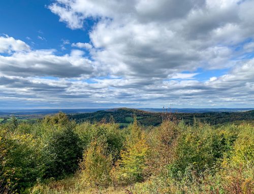 Lot-11c-5.50 acres