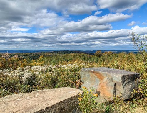 Lot-11c-5.50 acres