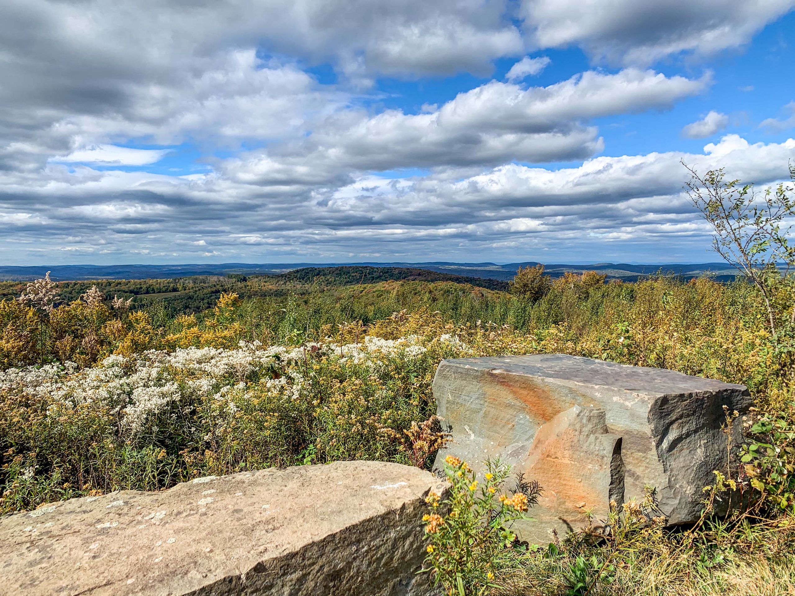 Lot-11c-5.50 acres