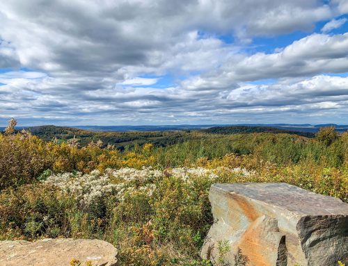 Lot-11c-5.50 acres