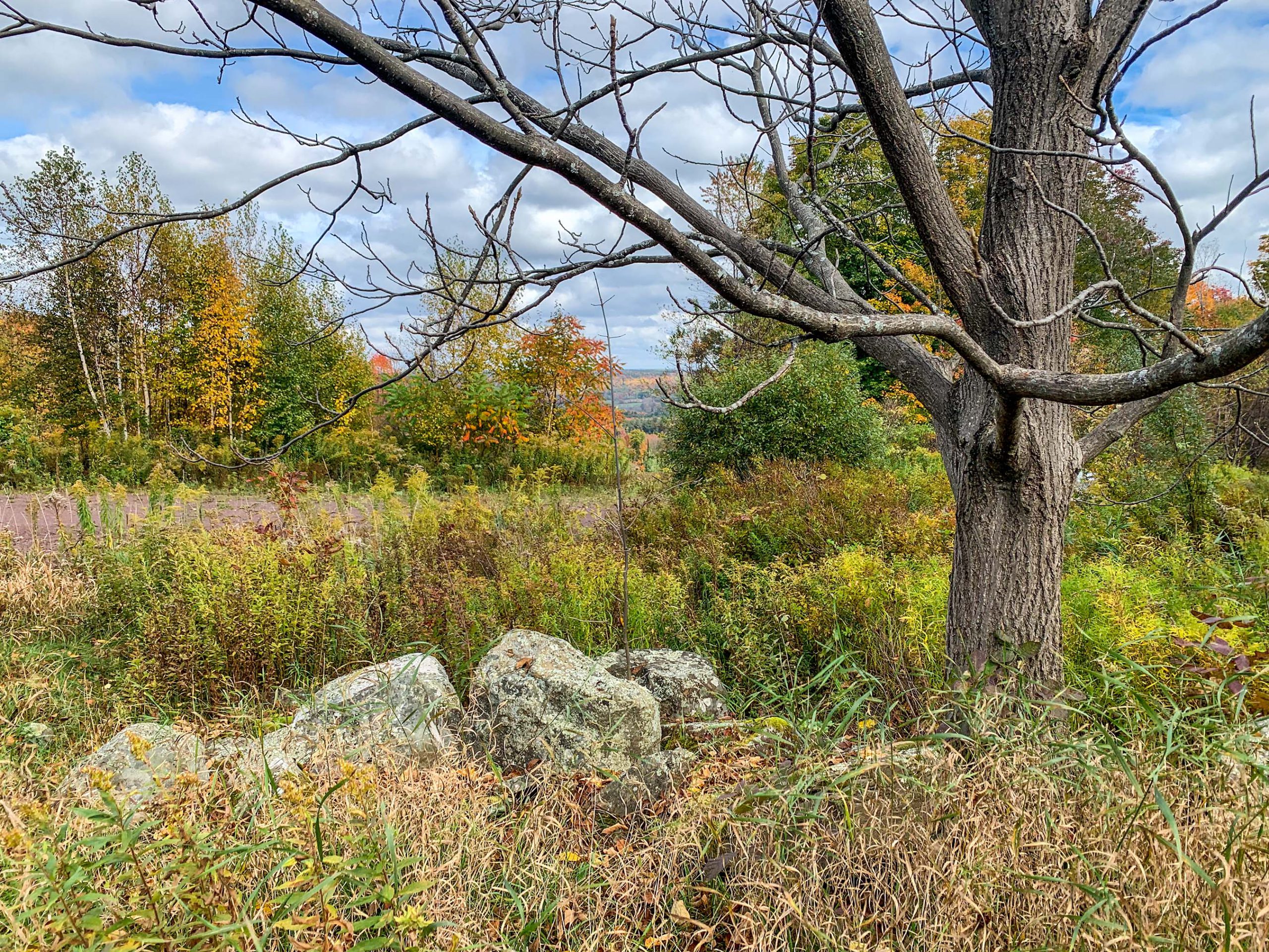 Lot-12-79.60 acres Havrish Rd