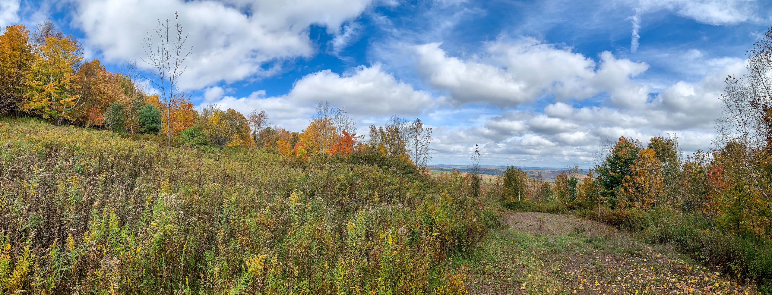 Lot-12-79.60 acres Havrish Rd