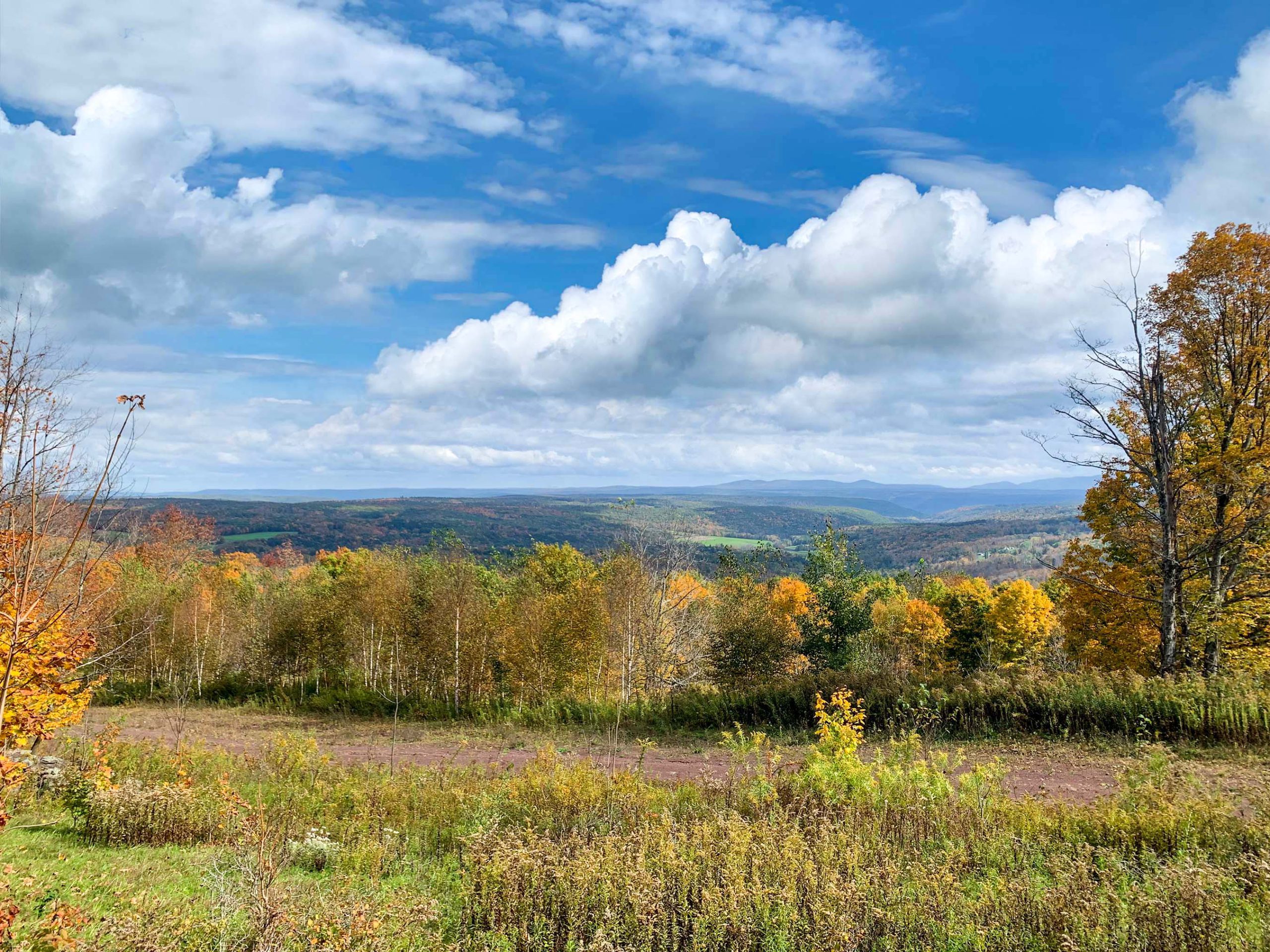 Lot-12-79.60 acres Havrish Rd