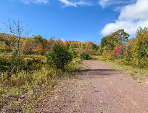 Lot-12-79.60 acres Havrish Rd