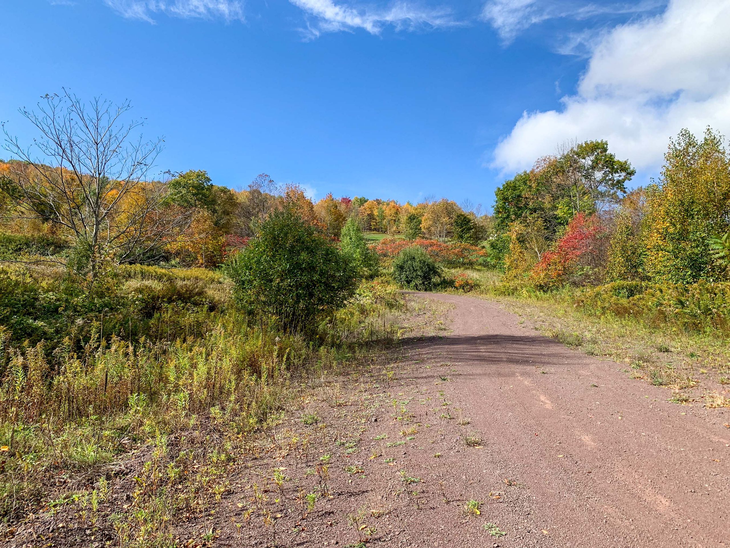 Lot-12-79.60 acres Havrish Rd