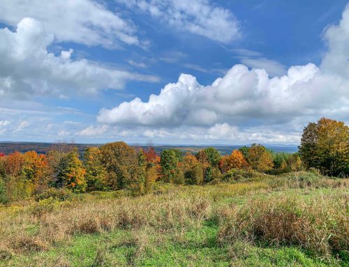 Lot-12-79.60 acres Havrish Rd