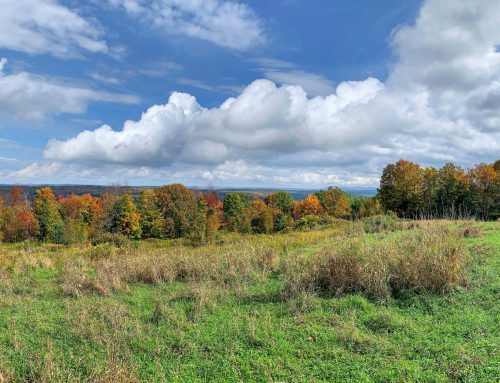 Lot-12-79.60 acres Havrish Rd