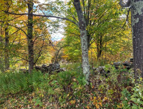 Lot-12-79.60 acres Havrish Rd