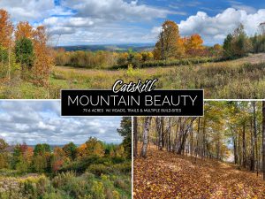 Lot-12-79.60 acres Havrish Rd