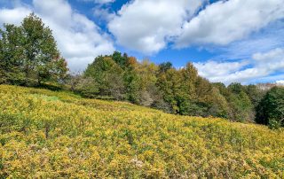 Lot-6-3.80 acres