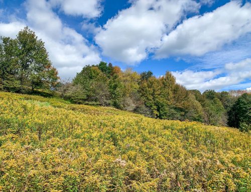 Lot-6-3.80 acres