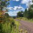 Lot-6-3.80 acres