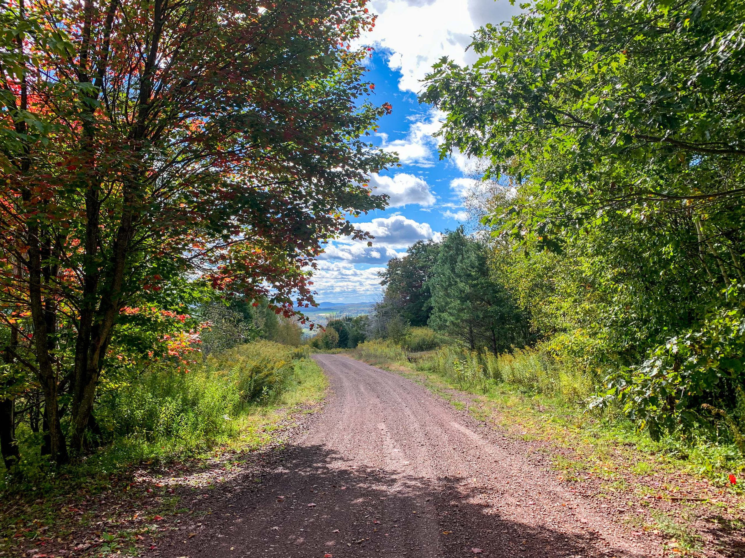 Lot-6-3.80 acres