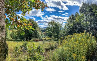 Lot-6-3.80 acres