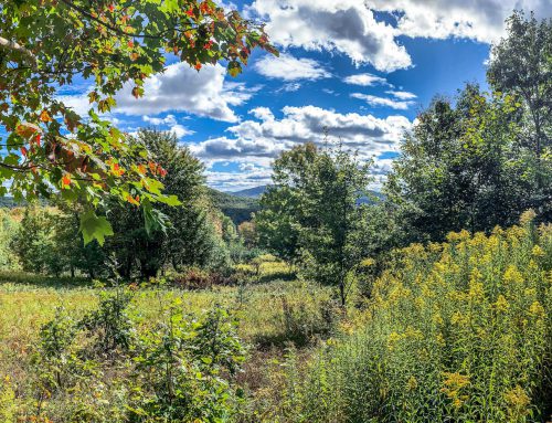 Lot-6-3.80 acres