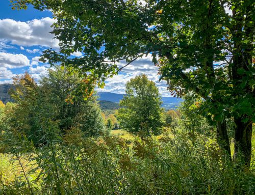 Lot-6-3.80 acres