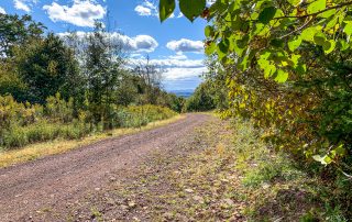 Lot-6-3.80 acres