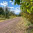 Lot-6-3.80 acres