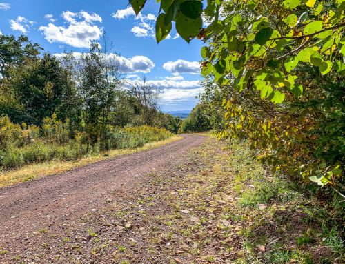 Lot-6-3.80 acres