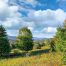 Lot-6-3.80 acres