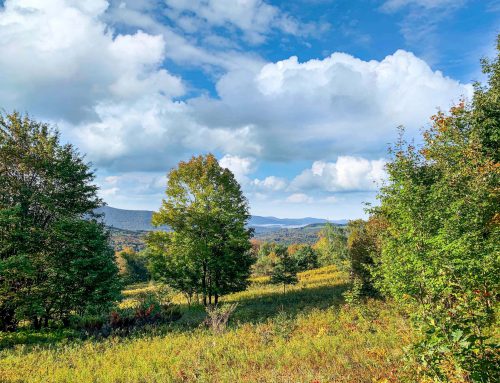 Lot-6-3.80 acres