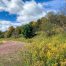 Lot-7-69.1 acres