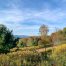 Lot-7-69.1 acres
