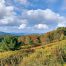 Lot-7-69.1 acres
