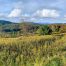Lot-7-69.1 acres