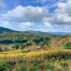 Lot-7-69.1 acres