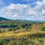 Lot-7-69.1 acres