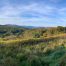 Lot-7-69.1 acres