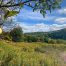 Lot-7-69.1 acres