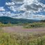 Lot-7-69.1 acres