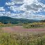 Lot-7-69.1 acres