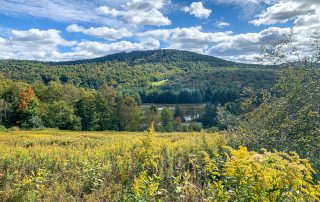 Lot-7-69.1 acres