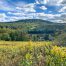Lot-7-69.1 acres