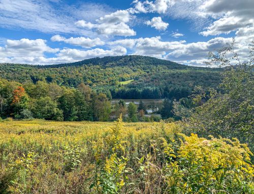 Lot-7-69.1 acres