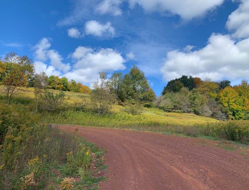 Lot-7-69.1 acres