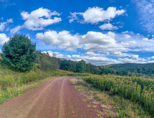 Lot-7-69.1 acres