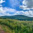 Lot-7-69.1 acres