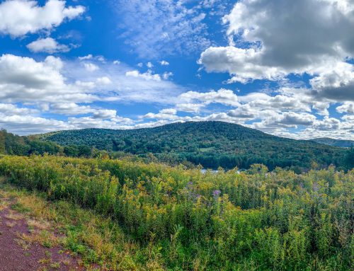 Lot-7-69.1 acres