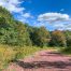 Lot-7-69.1 acres