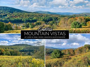 Lot-7-69.1 acres