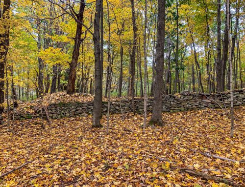 Lot-8-30.46 acres State Hwy 10