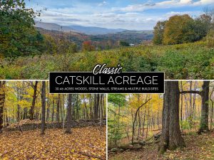 Lot-8-30.46 acres State Hwy 10