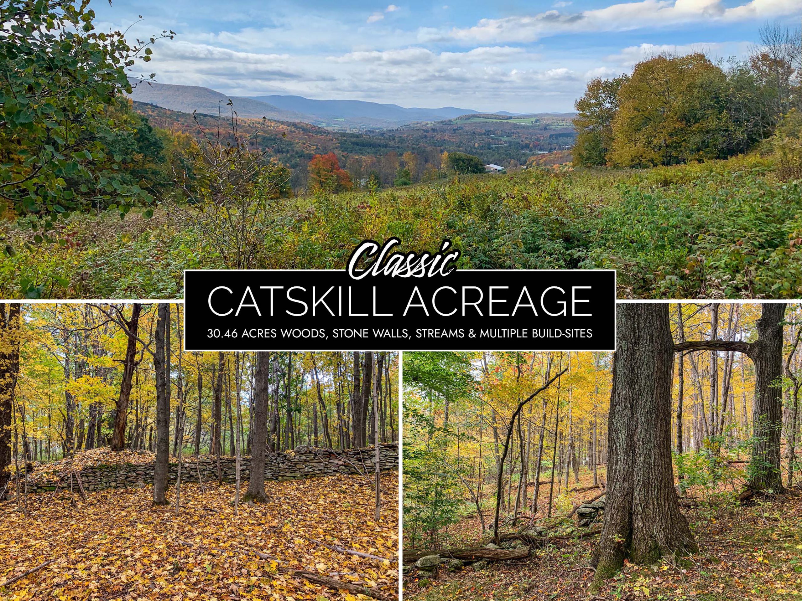 Lot-8-30.46 acres State Hwy 10
